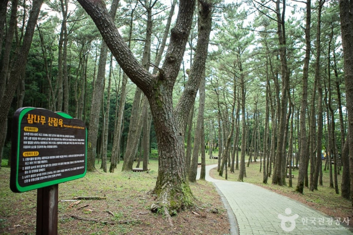 장생의숲길_2_공공3유형.jpg
