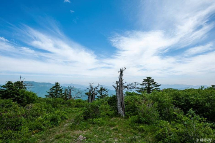 태백산_국립공원_3_공공3유형.jpg