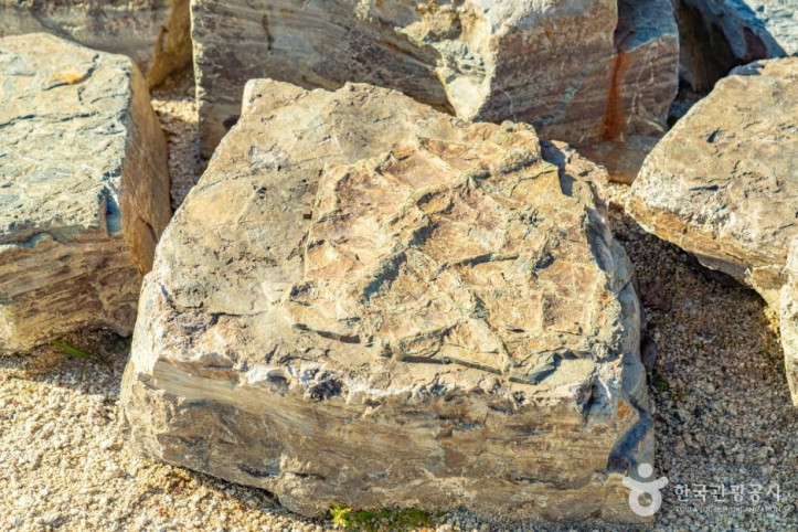 서유리_공룡화석지_(무등산권_국가지질공원)_5_공공1유형.jpg