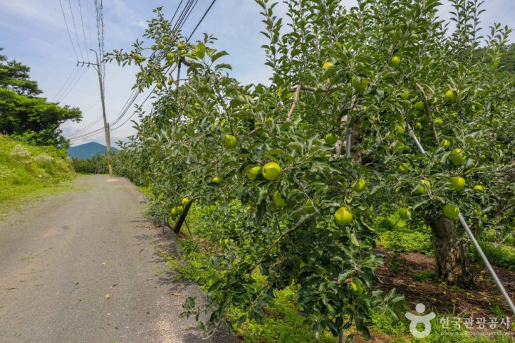 평광동_사과마을_1_공공3유형.jpg