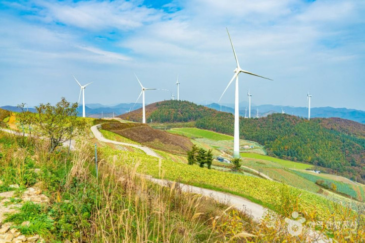 매봉산풍력발전단지(바람의_언덕)_5_공공1유형.jpg