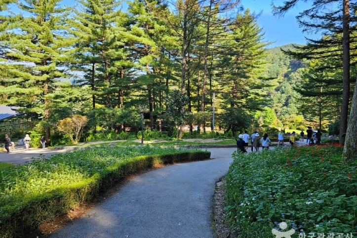 아침고요수목원_6_공공3유형.jpg