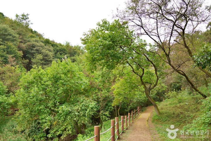 생거진천치유의숲_8_공공3유형.JPG