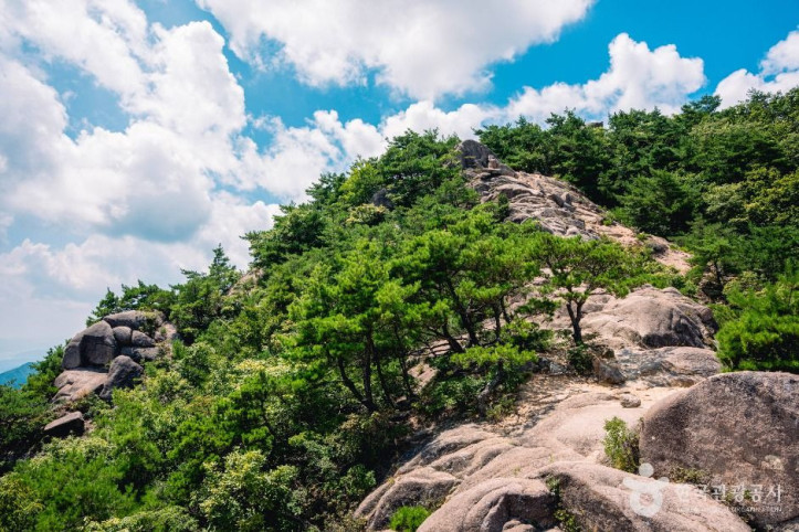 황매산_모산재_7_공공1유형.jpg