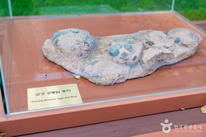 보성_비봉리_공룡알_화석산지_1_공공1유형.jpg