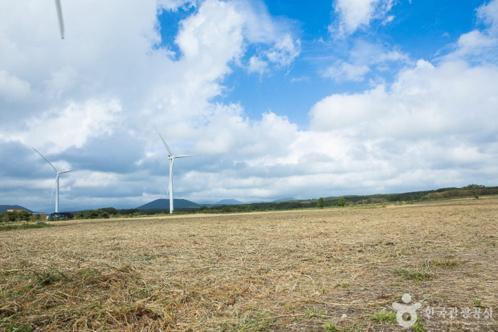 가시리국산화풍력발전단지_9_공공3유형.jpg