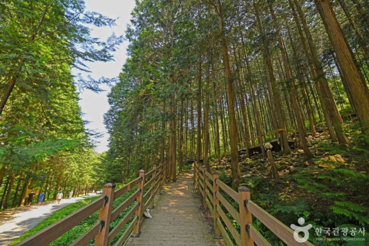 완주상관편백숲_2_공공3유형.JPG