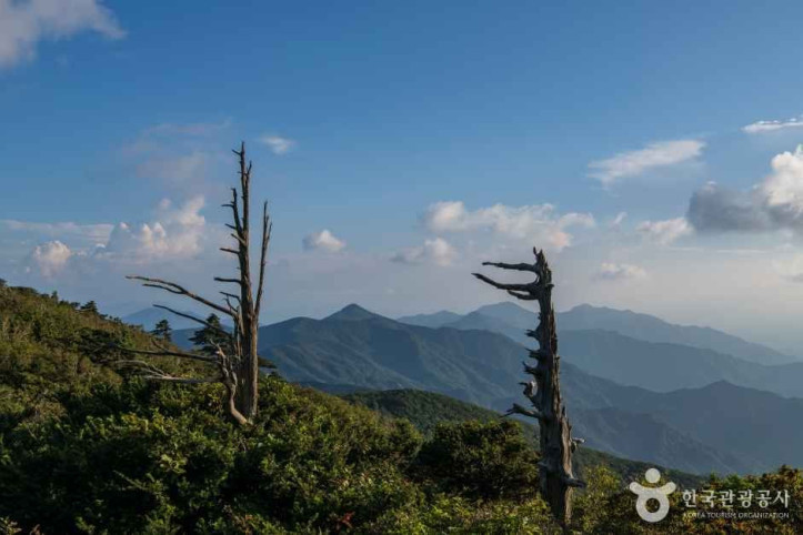 향적봉(덕유산)_1_공공1유형.jpg