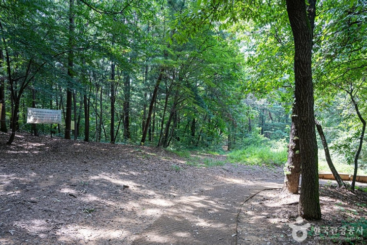서봉산산림욕장_2_공공3유형.jpg