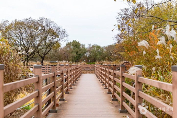 탑정호_수변생태공원_2_공공1유형.jpg