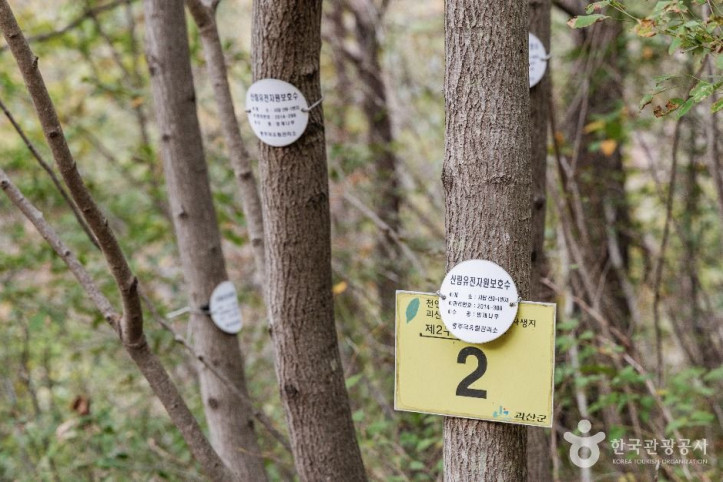 괴산_사담리_망개나무_자생지_2_공공1유형.jpg