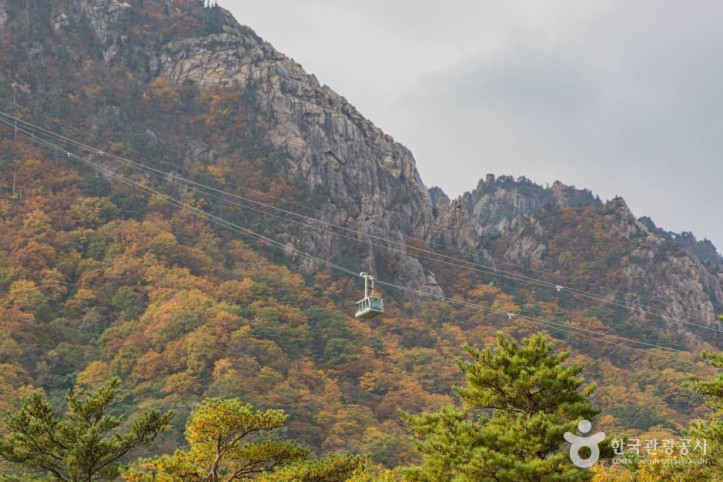 설악산_케이블카_3_공공1유형.jpg