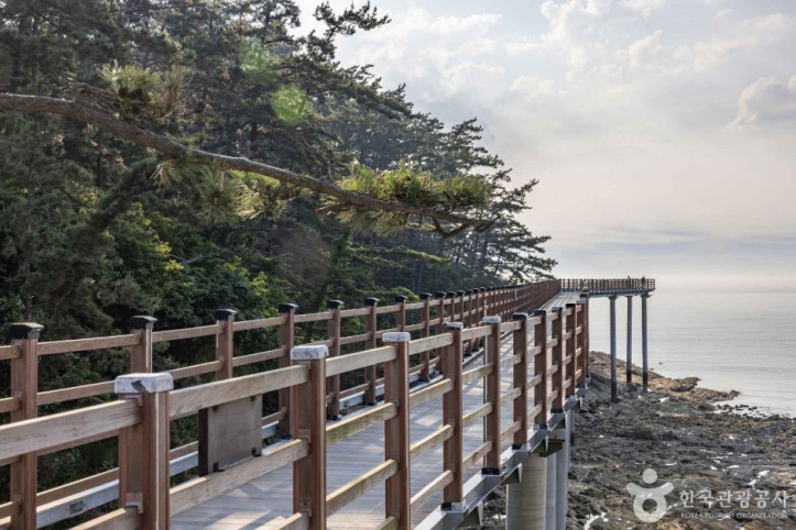뭍닭섬_산책로_6_공공3유형.jpg