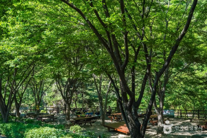 화원자연휴양림_2_공공1유형.jpg