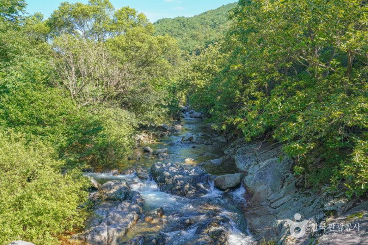 기백산_용추계곡과_용추폭포_6_공공1유형.jpg