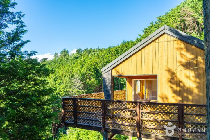하동_편백자연휴양림_1_공공1유형.jpg