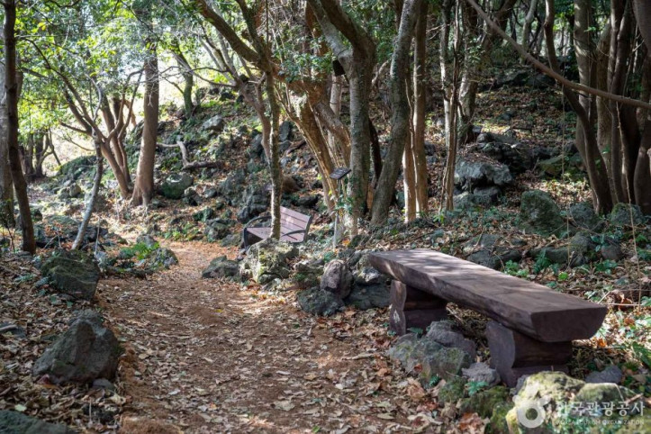 화순곶자왈_생태탐방숲길_4_공공1유형.jpg