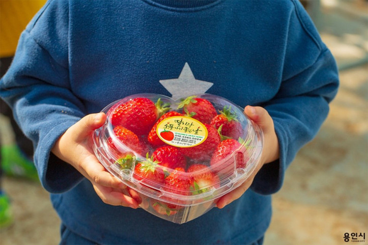 딸기랑소풍가기좋은날_1_공공3유형.jpg