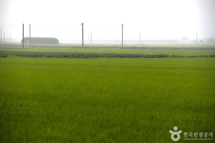 김제평야_2_공공3유형.JPG