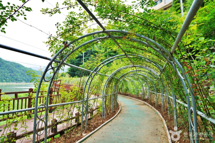 단양_상상의_거리_5_공공3유형.JPG