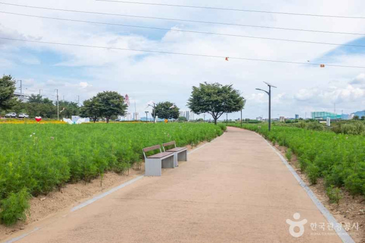경산_하양경관농업단지_6_공공3유형.jpg