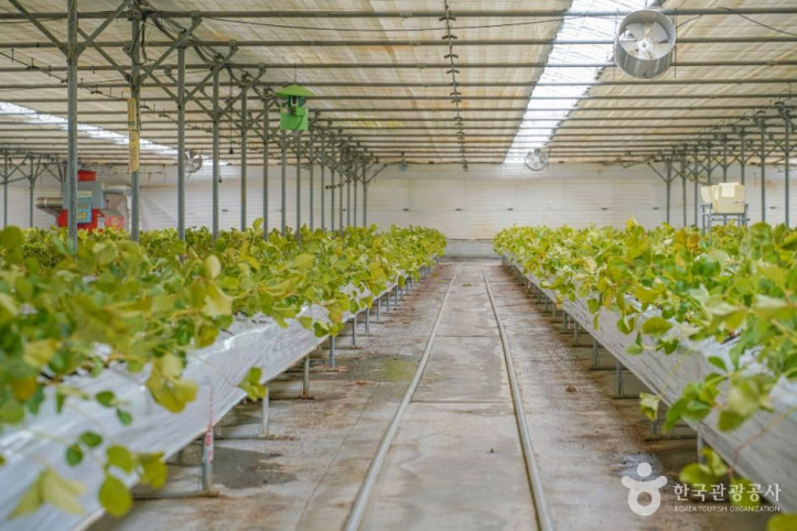 보성싱싱농원_3_공공1유형.jpg