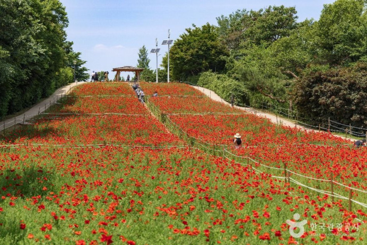 올림픽공원_들꽃마루_6_공공1유형.jpg