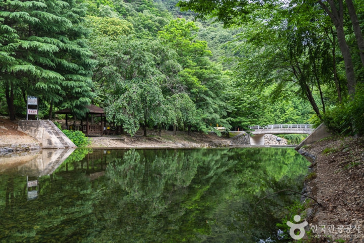 고산자연휴양림_3_공공3유형.jpg