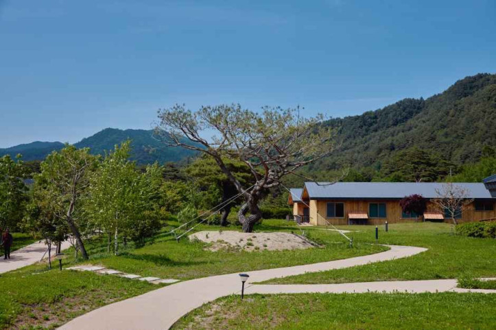 오대산_자연명상마을_옴뷔_3_공공3유형.jpg