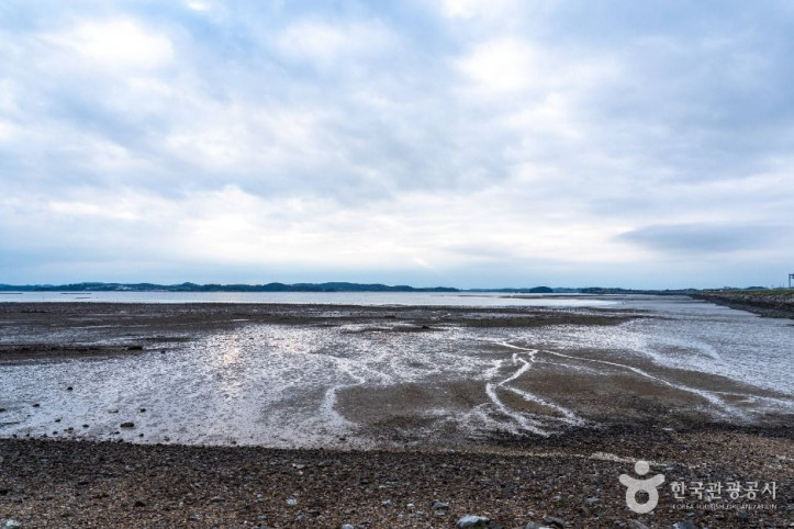 천수만(철새도래지)_5_공공1유형.jpg