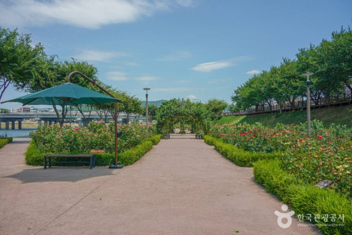 장미공원(밀양)_3_공공1유형.jpg