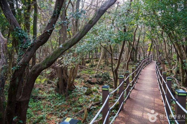 화순곶자왈_생태탐방숲길_3_공공1유형.jpg
