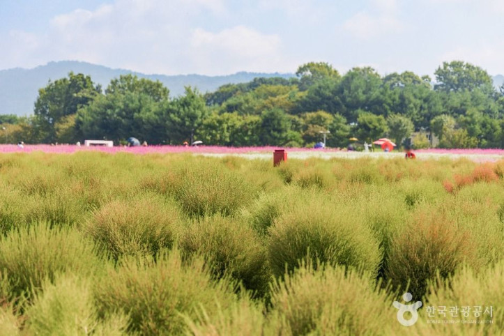 나리농원_1_공공1유형.jpg