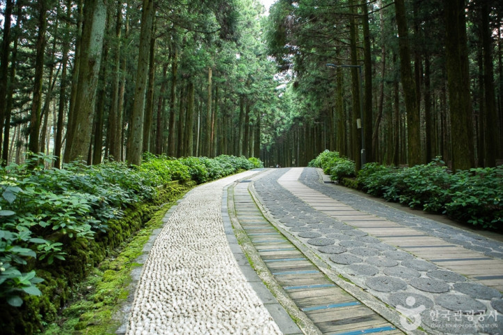 장생의숲길_8_공공3유형.jpg