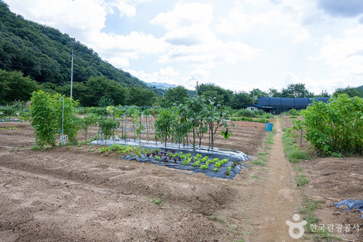 원두막주말농장_6_공공3유형.jpg