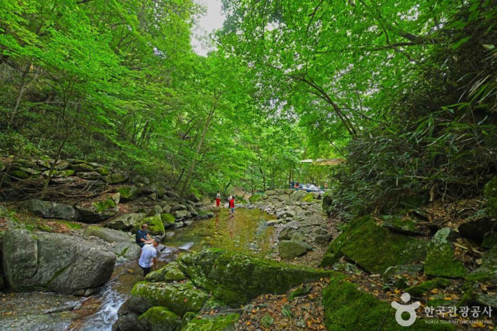 지지계곡_2_공공3유형.JPG