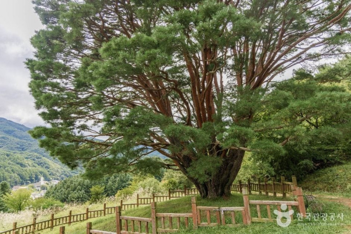 무주_삼공리_반송_1_공공1유형.jpg