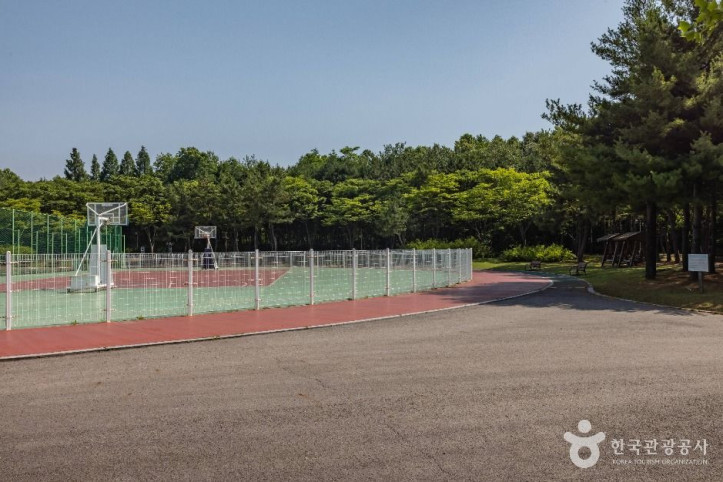 드림파크_주민체육공원_6_공공1유형.jpg