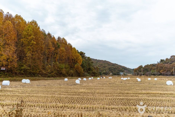 둥구리_농촌체험휴양마을_2_공공1유형.jpg
