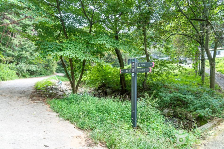 개심사_가는_길_2_공공1유형.jpg