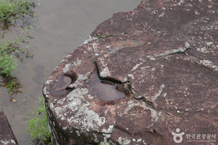 천전리공룡발자국화석_8_공공3유형.JPG