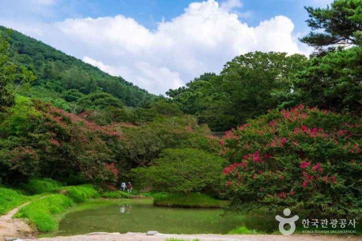 담양_명옥헌_원림_4_공공1유형.jpg
