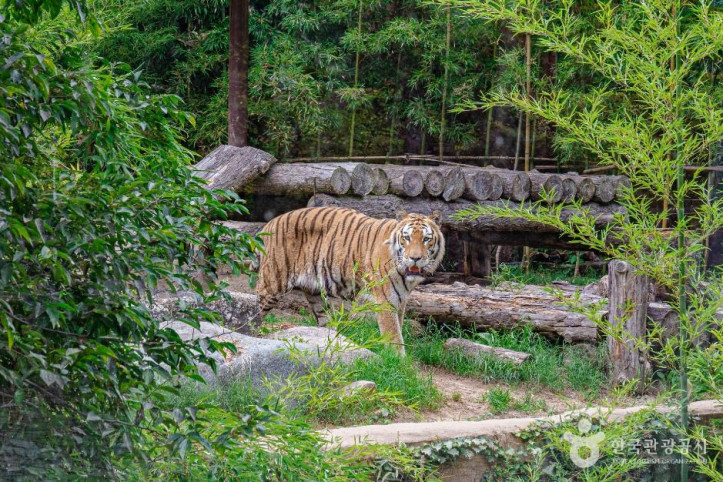 광주_우치공원_동물원_4_공공1유형.jpg