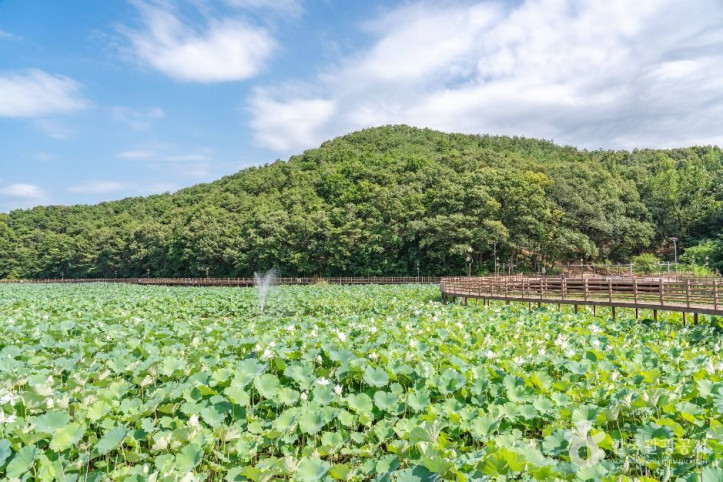 들성생태공원_3_공공1유형.jpg