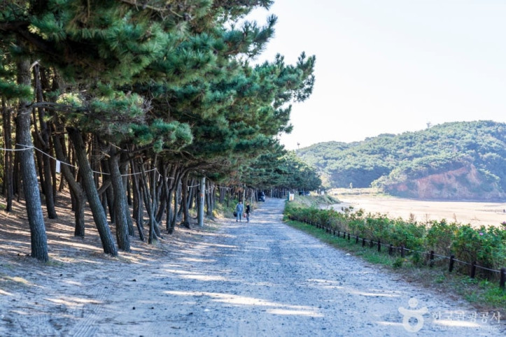 밧개해수욕장_1_공공3유형.jpg