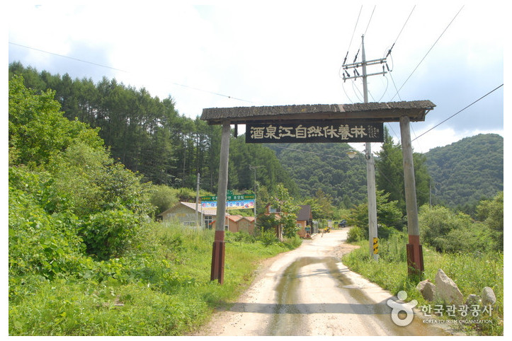 주천강자연휴양림_4_공공3유형.jpg