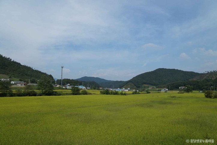 양평_옹달샘꽃누름마을_5_공공3유형.jpg