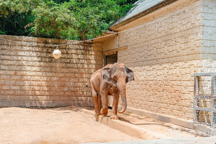 광주_우치공원_동물원_5_공공1유형.jpg