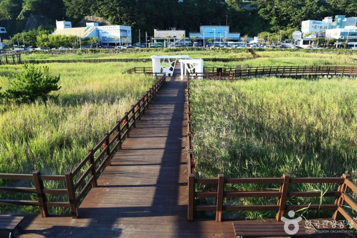 다대포생태탐방로_10_공공3유형.JPG