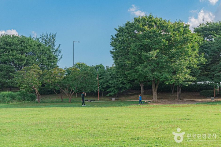 평화잔디광장_2_공공1유형.jpg